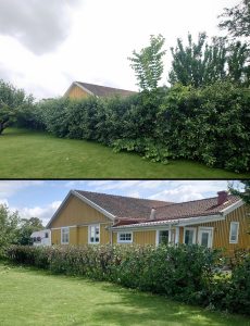 Häckklippning Kungsbacka Onsala