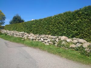 Häckklippning Onsala