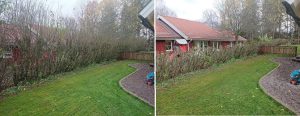 Beskärning häck Onsala