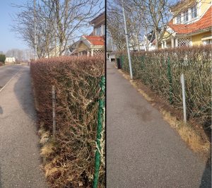 Martin Beskärning häckklippning i Kungsbacka